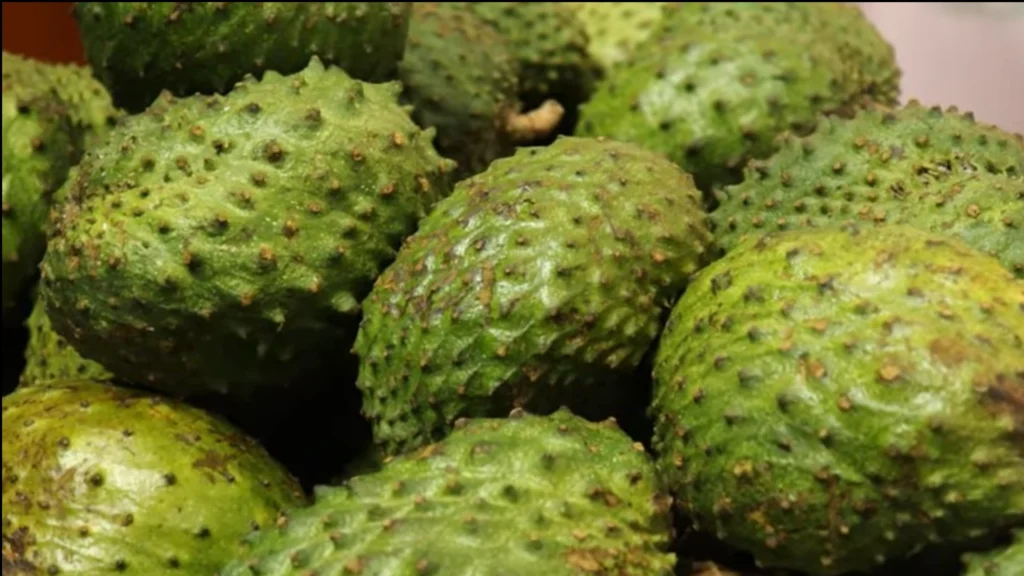 করোসল (Soursop/Graviola): ক্যান্সারের চিকিৎসায় কি সত্যিই উপকারী? বৈজ্ঞানিক বিশ্লেষণ 1 করোসল (Soursop/Graviola): ক্যান্সারের চিকিৎসায় কি সত্যিই উপকারী? বৈজ্ঞানিক বিশ্লেষণ করোসল (Soursop/Graviola): ক্যান্সারের চিকিৎসায় কি সত্যিই উপকারী? বৈজ্ঞানিক বিশ্লেষণ