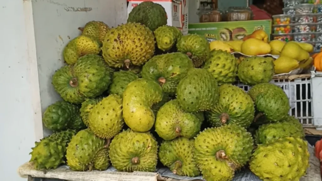করোসল (Soursop/Graviola): ক্যান্সারের চিকিৎসায় কি সত্যিই উপকারী? বৈজ্ঞানিক বিশ্লেষণ 3 করোসল (Soursop/Graviola): ক্যান্সারের চিকিৎসায় কি সত্যিই উপকারী? বৈজ্ঞানিক বিশ্লেষণ করোসল (Soursop/Graviola): ক্যান্সারের চিকিৎসায় কি সত্যিই উপকারী? বৈজ্ঞানিক বিশ্লেষণ