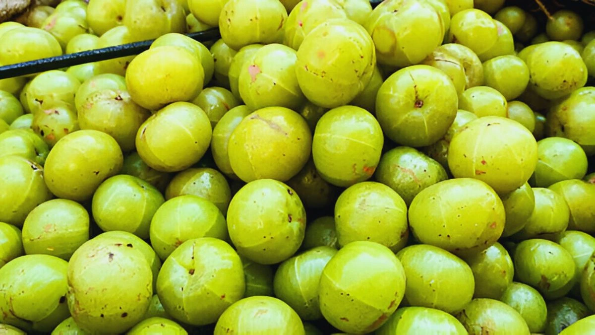 প্রতিদিন একটা আমলকি খেলে যা হয় জানলে, আজই খাওয়া শুরু করবেন! অপকারিতাও জেনে নিন