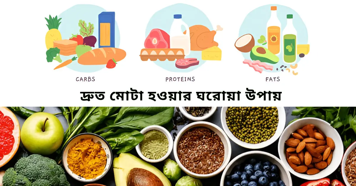 ১৪-২৫ বছরের ছেলে-মেয়েদের জন্য স্বাস্থ্যকর ওজন বাড়ানোর সহজ ঘরোয়া উপায় জানুন এখনই | ১৪-২৫ বছরের ছেলে-মেয়েদের জন্য স্বাস্থ্যকর ওজন বাড়ানোর সহজ ঘরোয়া উপায় জানুন এখনই